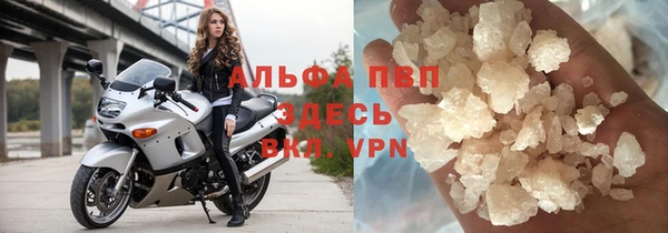 сатива Армянск