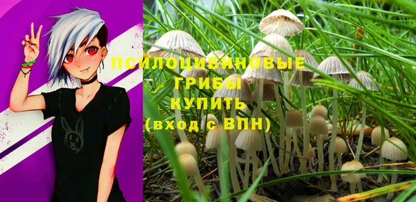прущие грибы Арсеньев