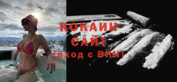 сатива Армянск