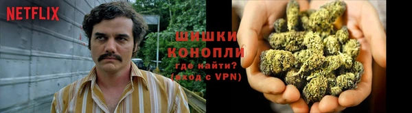 прущие грибы Арсеньев