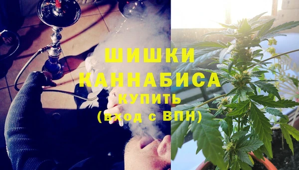 прущие грибы Арсеньев