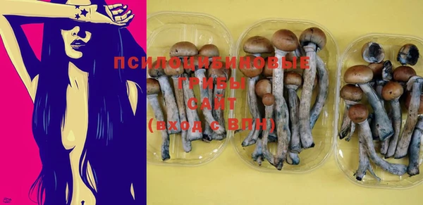 прущие грибы Арсеньев