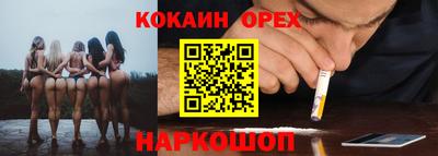 гидра Славгород