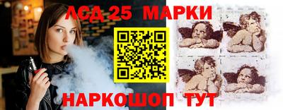 гидра Славгород