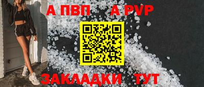 гидра Славгород