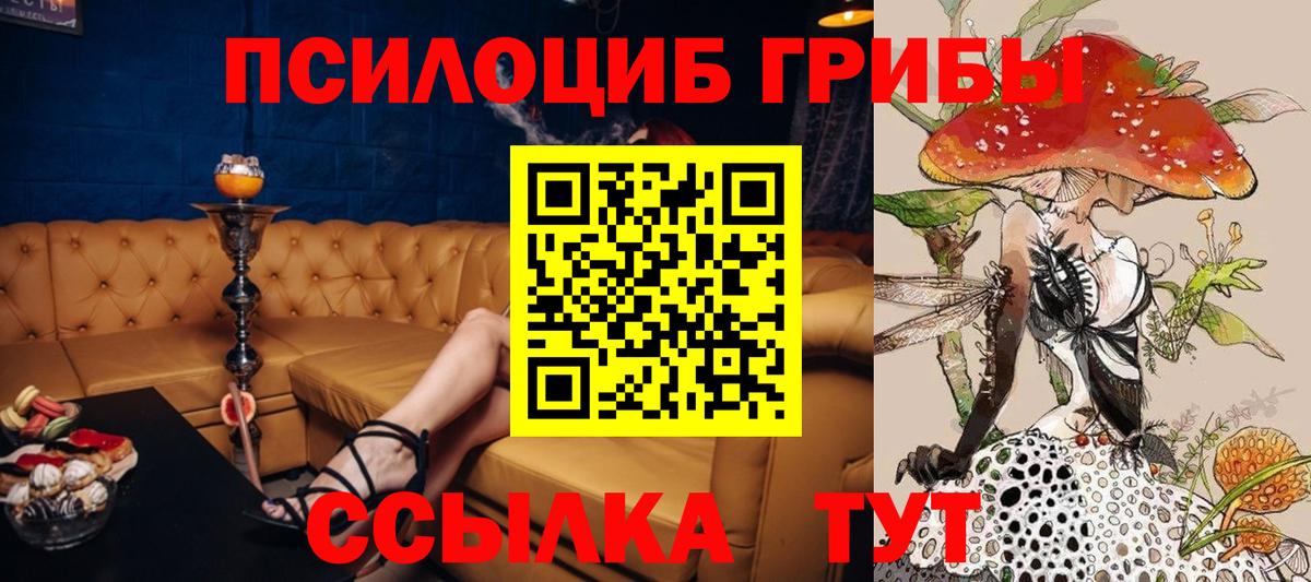Псилоцибиновые грибы MAGIC MUSHROOMS Шадринск