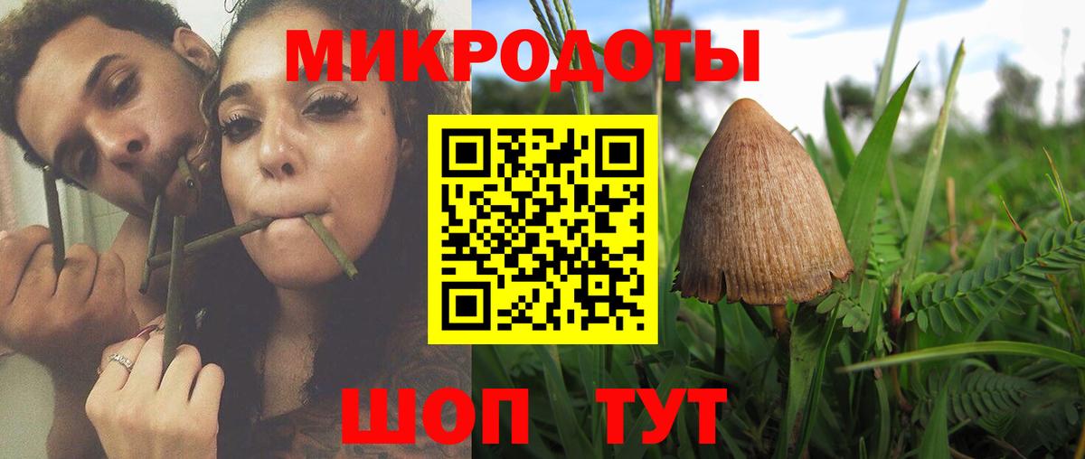 Галлюциногенные грибы MAGIC MUSHROOMS  Псилоцибиновые грибы Cubensis  Вход с VPN  Шадринск 