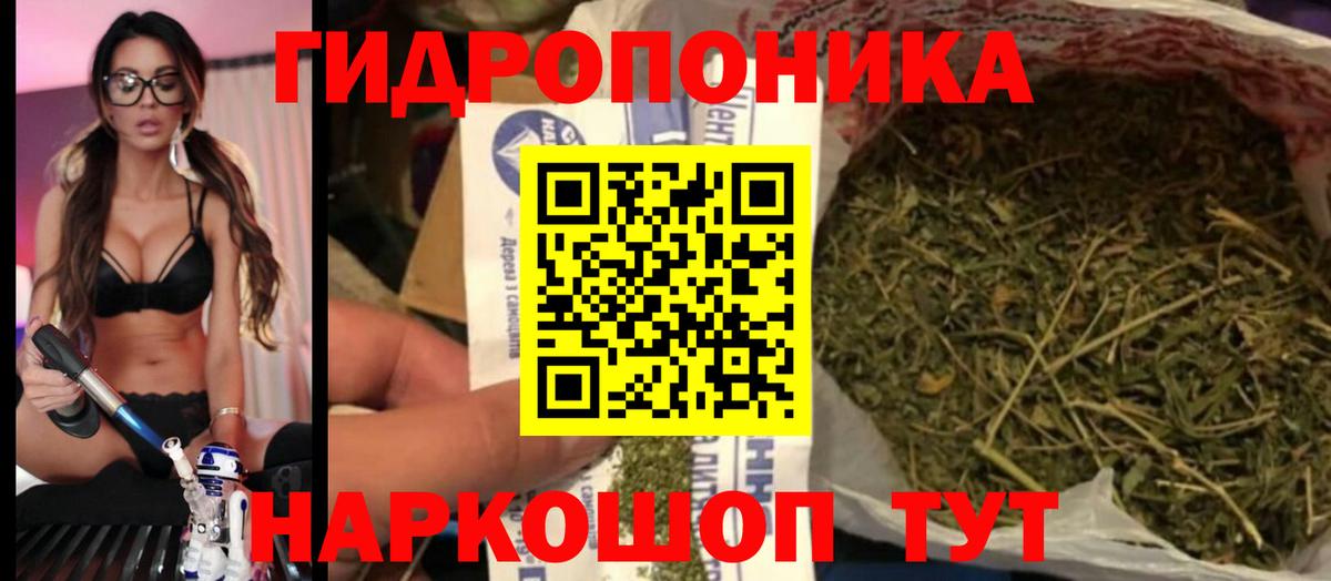 Шишки марихуана конопля Шадринск